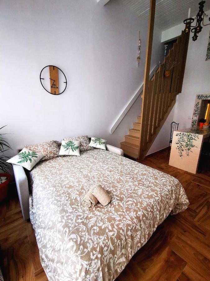 Charming Portuguese Style Apartment, For Rent "Vida A Portuguesa", "Fruta Or Polvo" Alojamento Local Portimão Exteriör bild